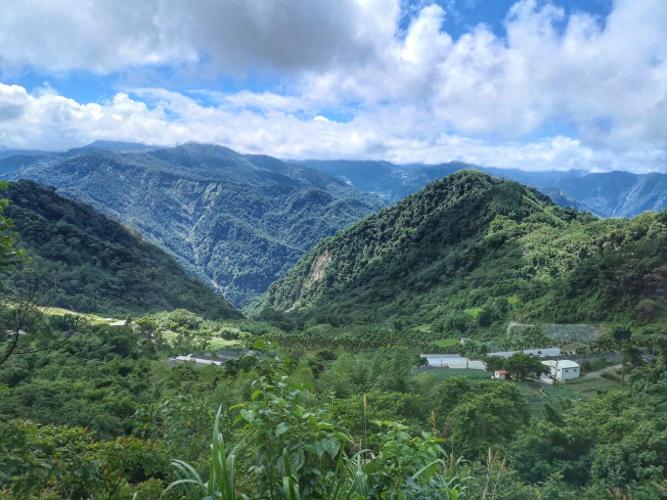 阿里山自然景觀