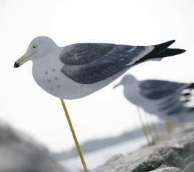海鷗裝飾