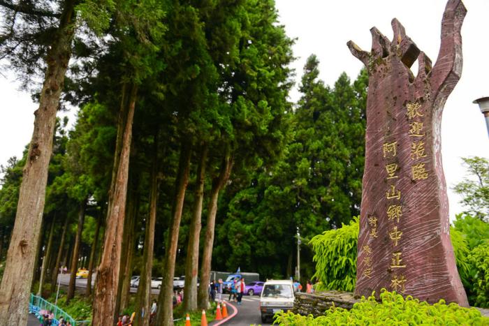阿里山森林景觀