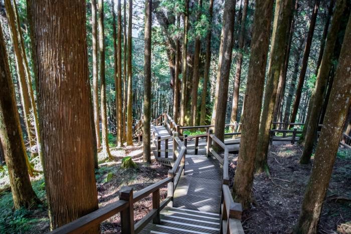 阿里山交通設施