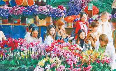 斗南花市主交易場館
