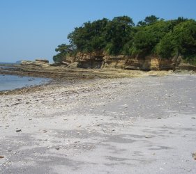 佐久島海灘
